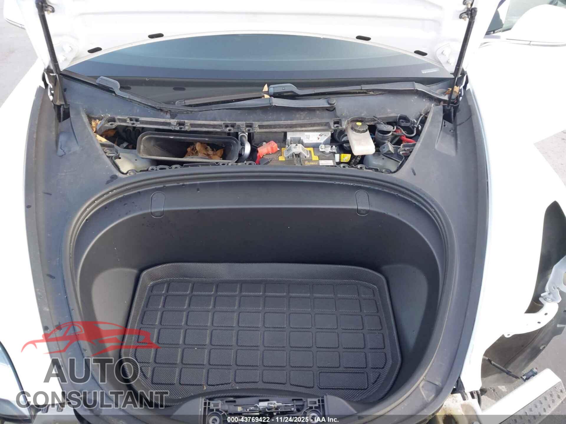 TESLA MODEL 3 2019 - 5YJ3E1EA8KF401614