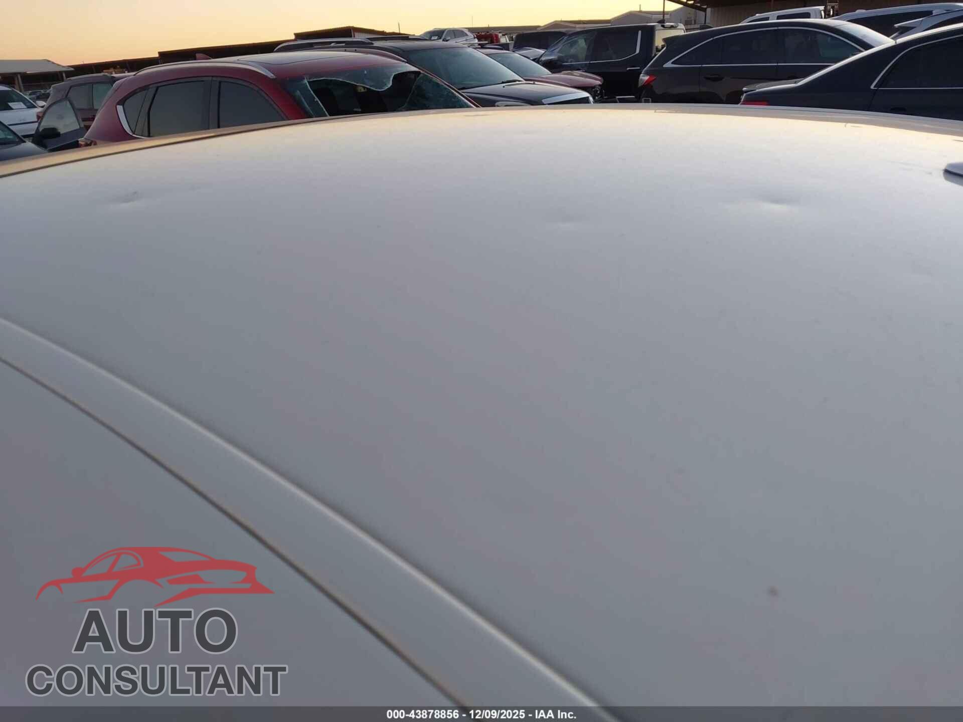 LEXUS LS 460 2009 - JTHBL46F095085357
