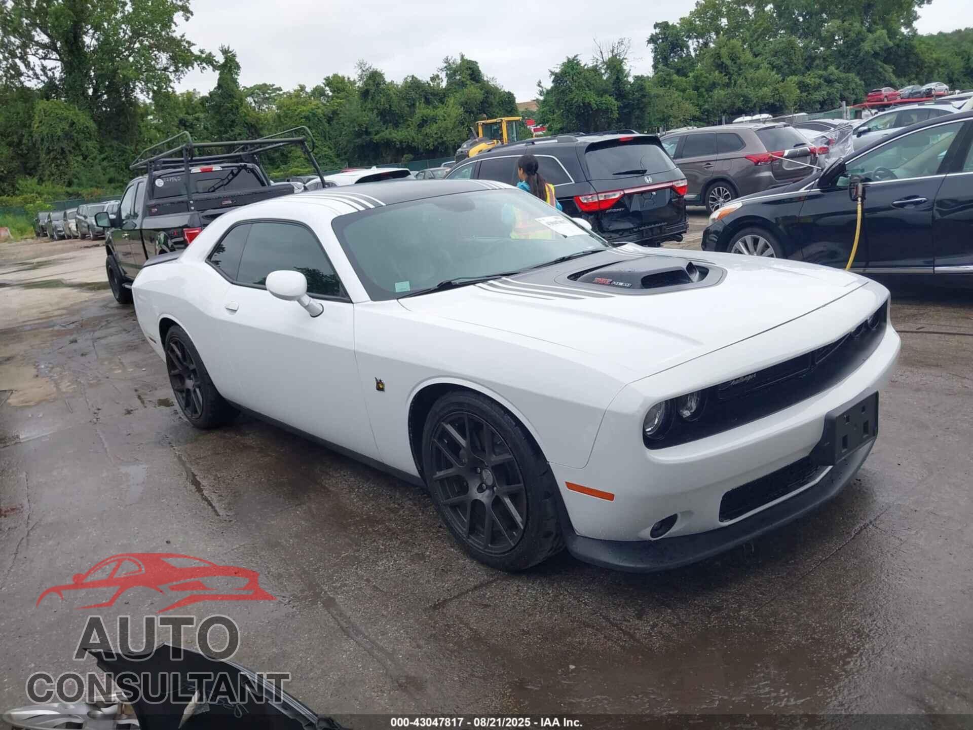 DODGE CHALLENGER 2016 - 2C3CDZFJ1GH249682