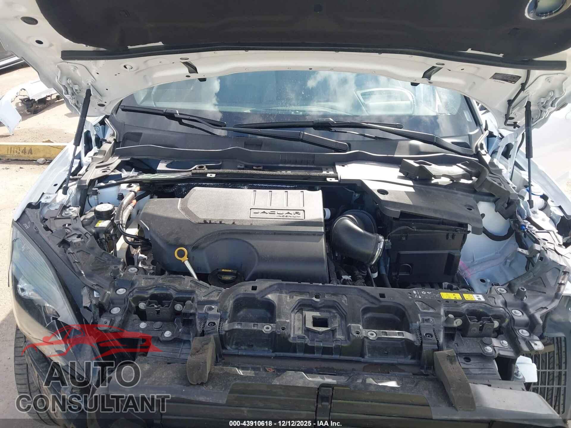 JAGUAR E-PACE 2024 - SADFL2FX2R1042702