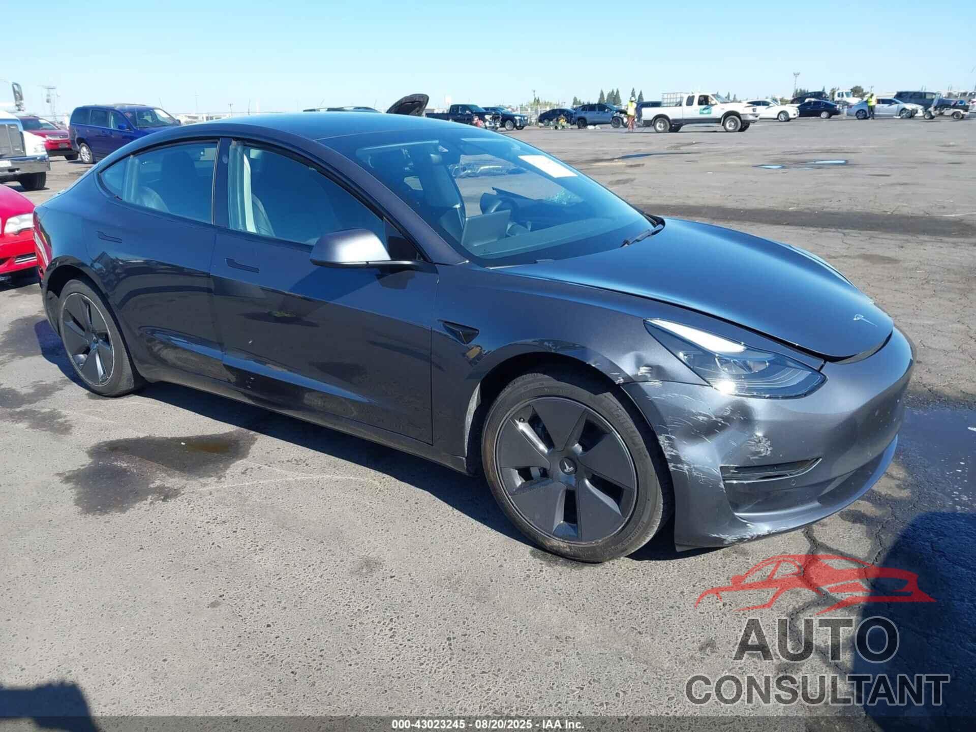TESLA MODEL 3 2021 - 5YJ3E1EA8MF974161