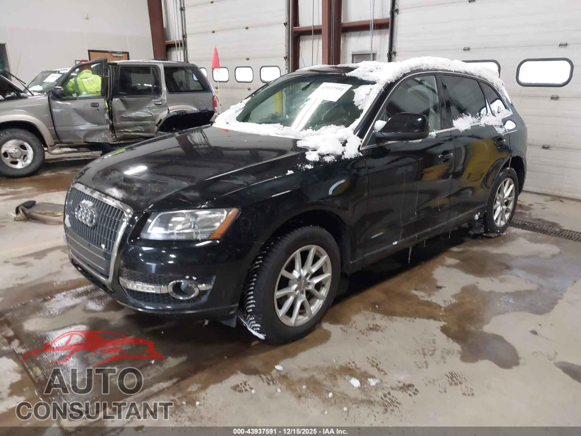 AUDI Q5 2011 - WA1CFAFPXBA097561