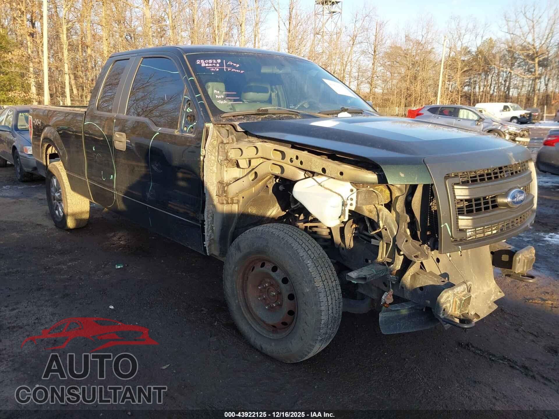 FORD F-150 2013 - 1FTFX1EF2DFA11884