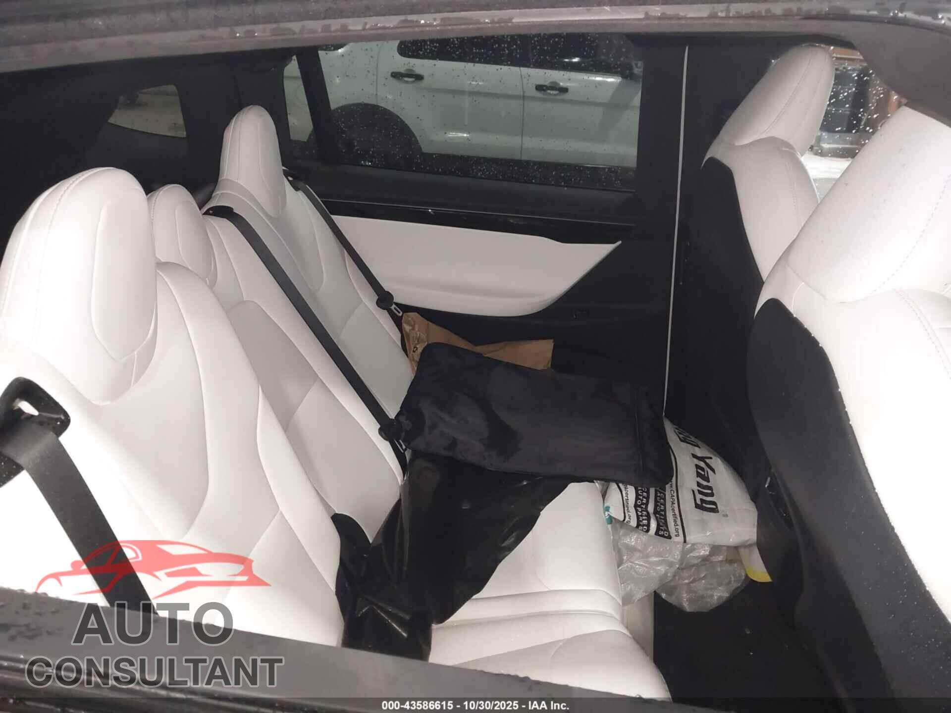 TESLA MODEL X 2020 - 5YJXCDE23LF233190