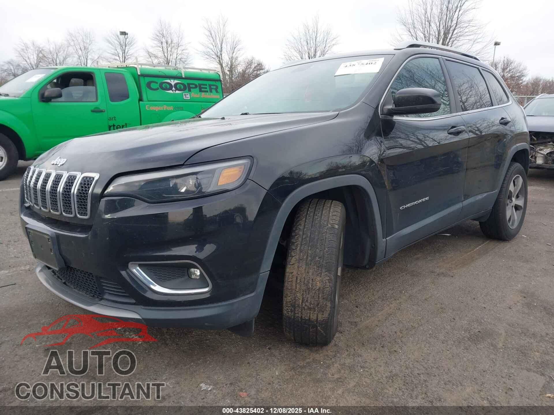 JEEP CHEROKEE 2019 - 1C4PJMDX0KD238243