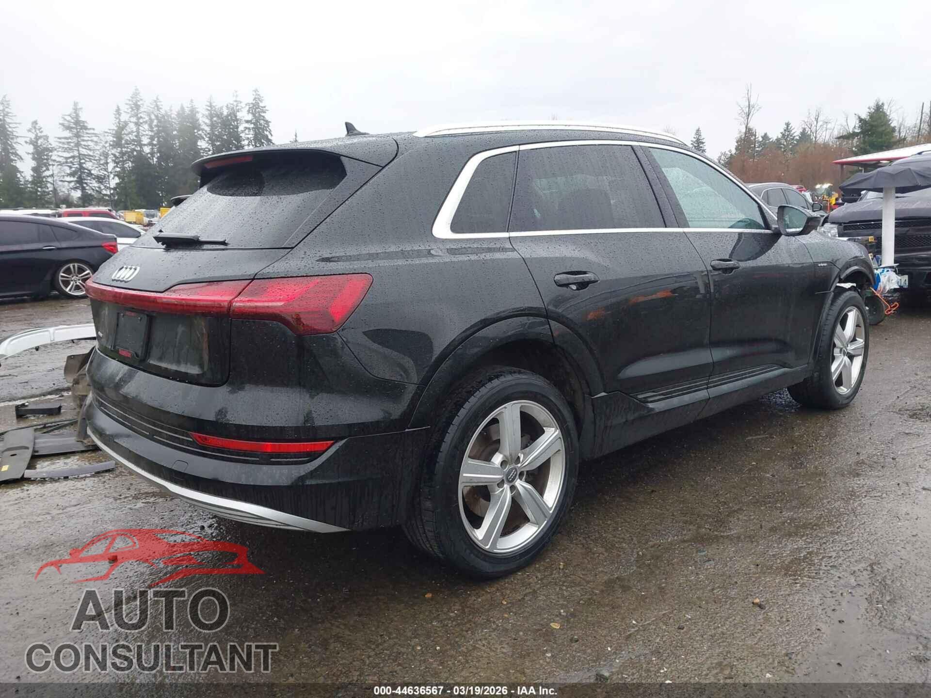 AUDI E-TRON 2019 - WA1LAAGE0KB023068