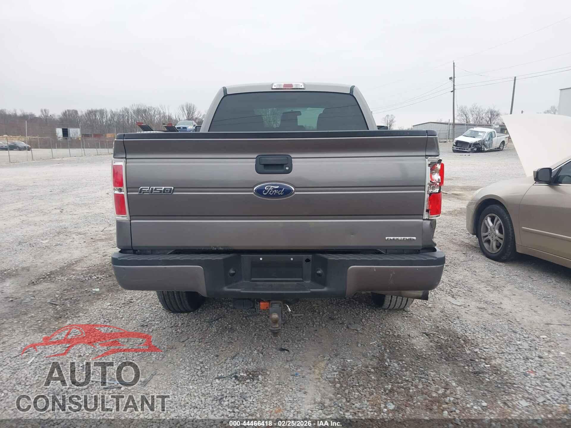 FORD F-150 2013 - 1FTFX1CF8DFD94748