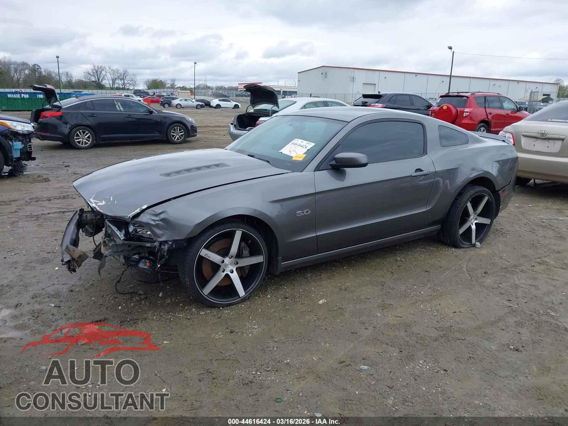 FORD MUSTANG 2013 - 1ZVBP8CF9D5229155