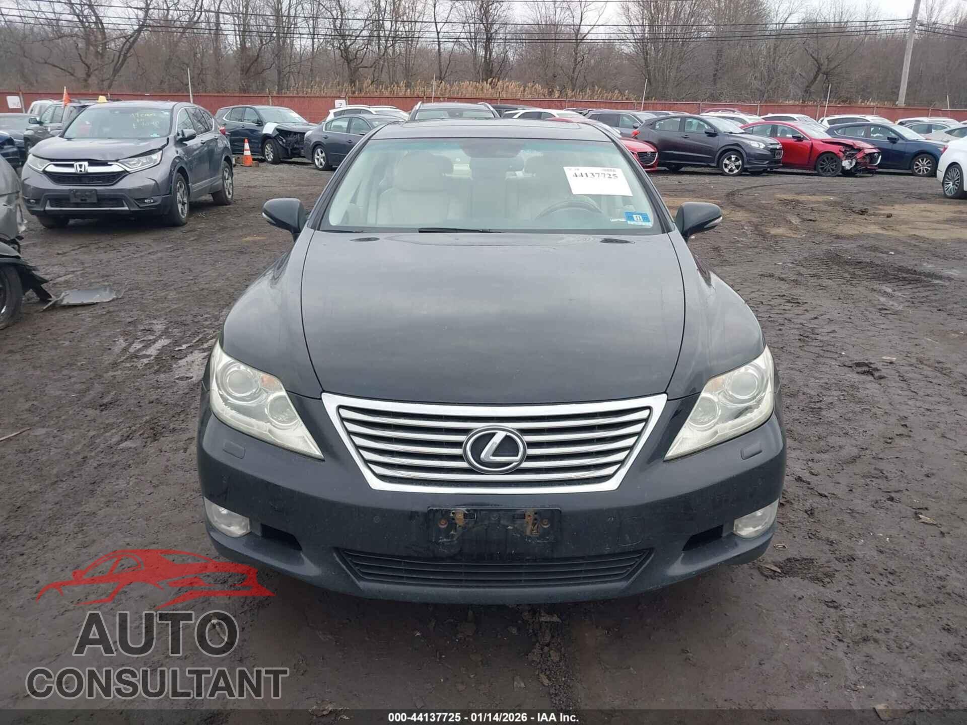 LEXUS LS 460 2010 - JTHCL5EF7A5008646