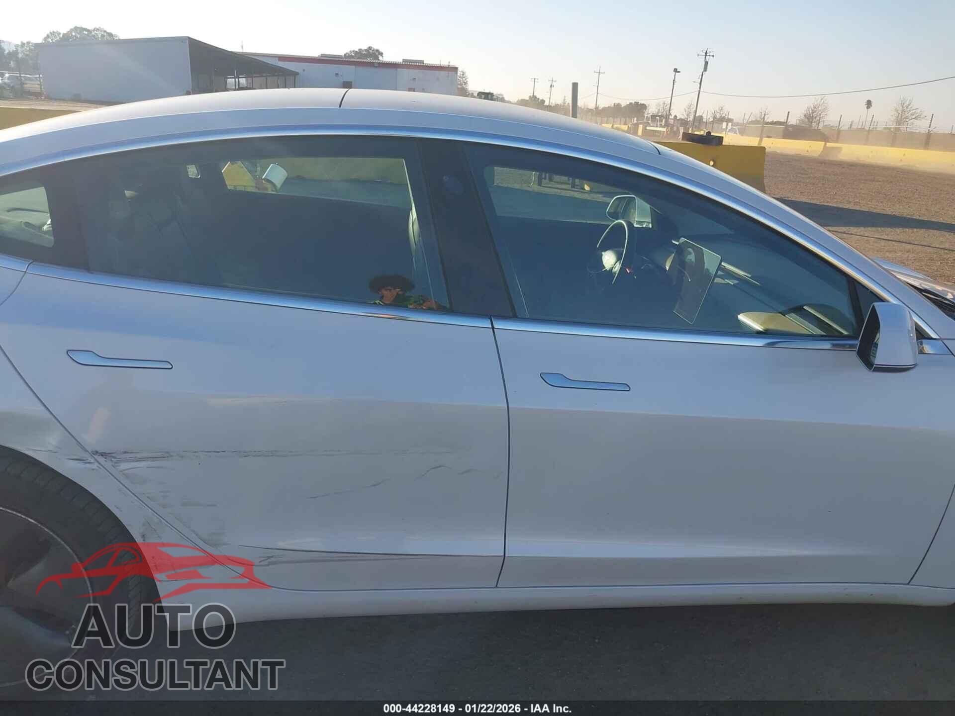 TESLA MODEL 3 2019 - 5YJ3E1EB2KF511356