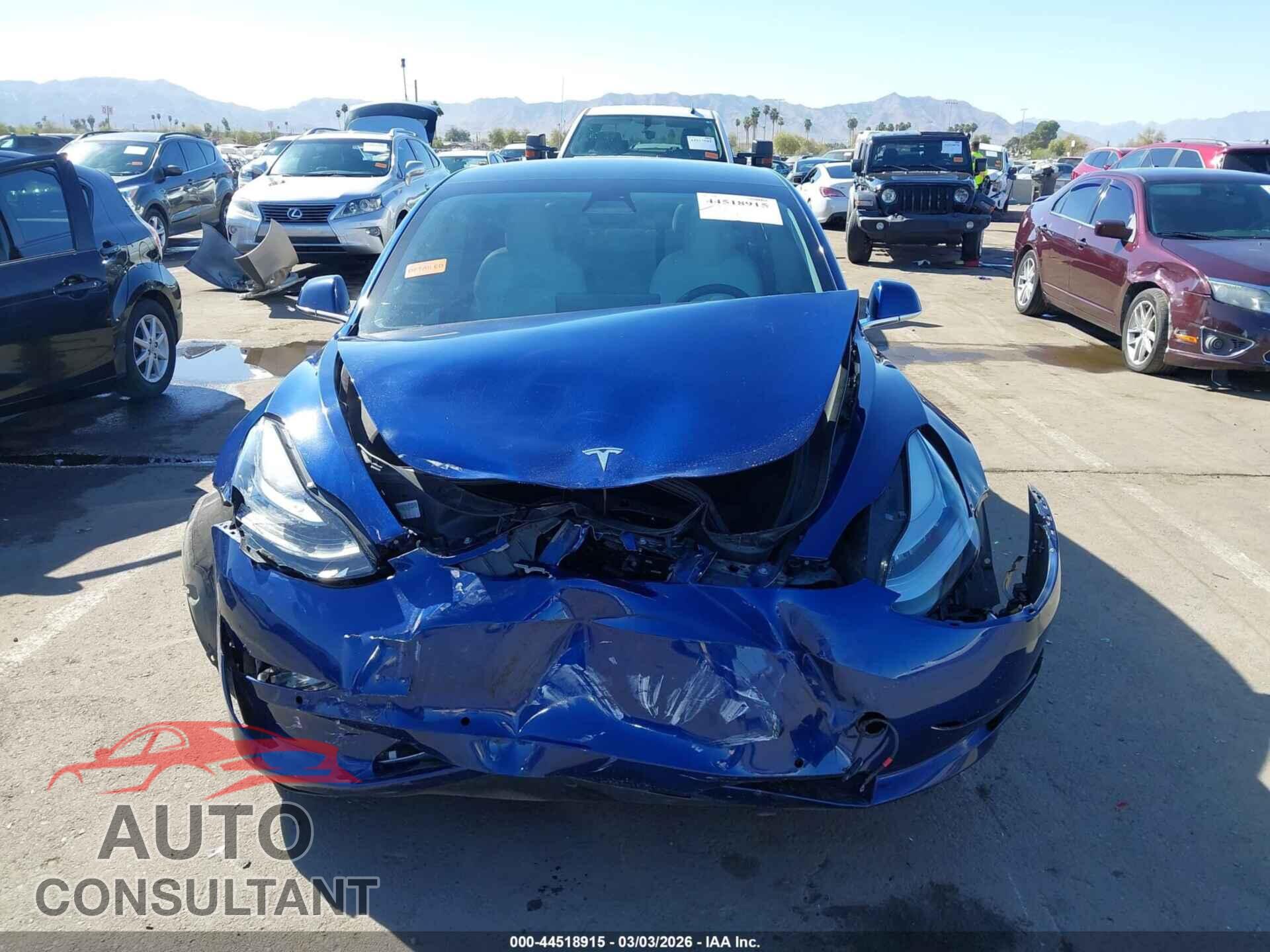 TESLA MODEL 3 2019 - 5YJ3E1EA5KF486072