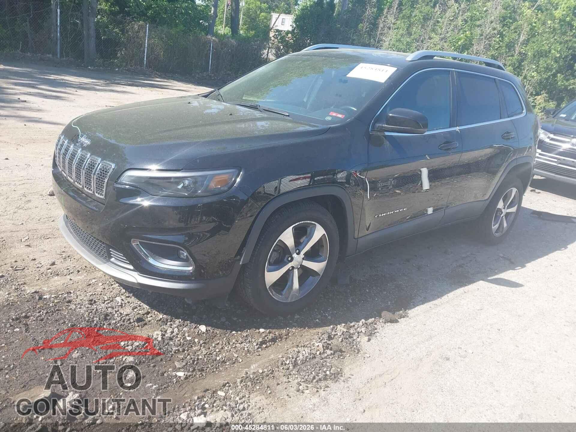 JEEP CHEROKEE 2019 - 1C4PJLDB4KD439318