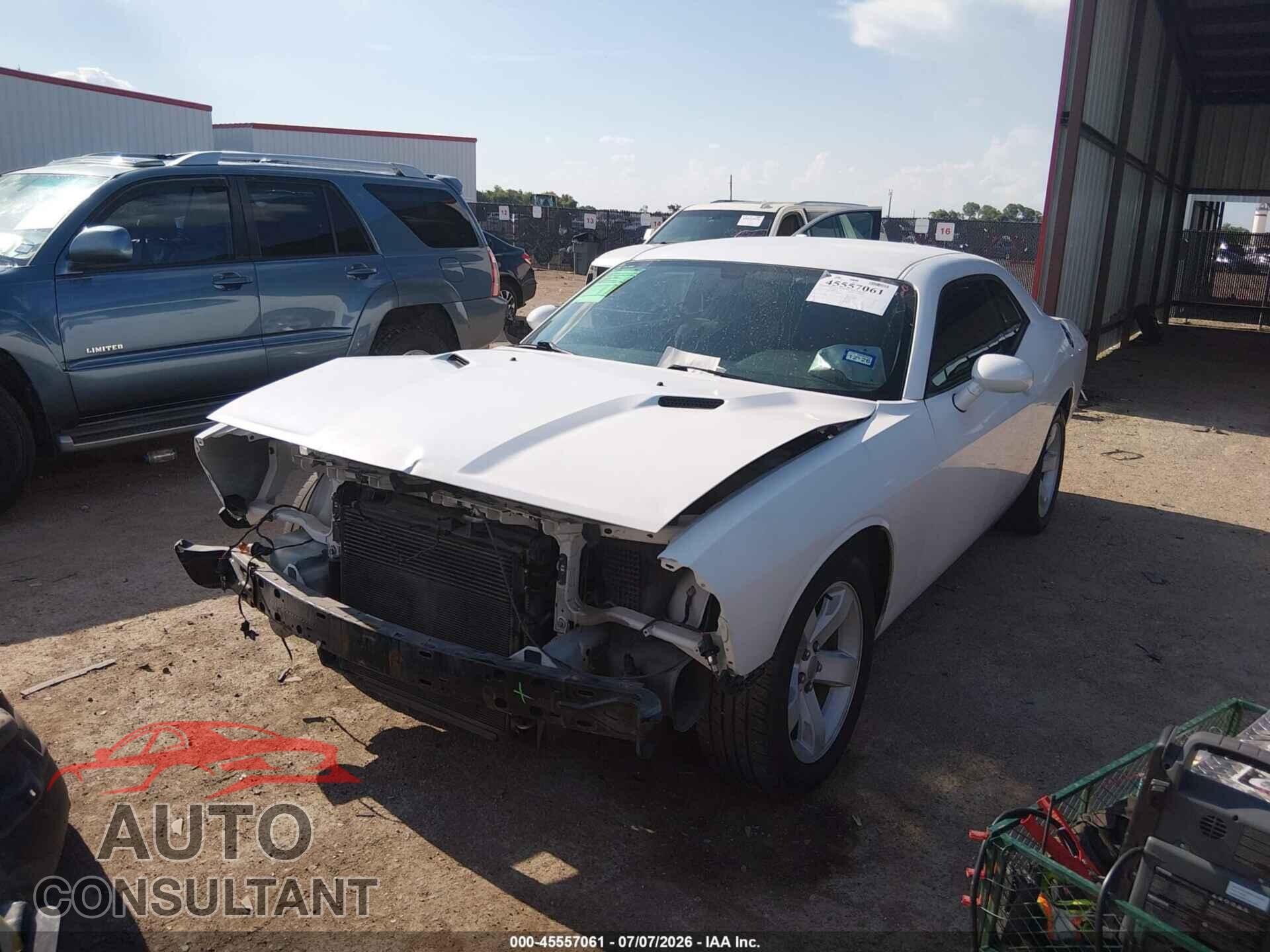 DODGE CHALLENGER 2013 - 2C3CDYAG3DH641242