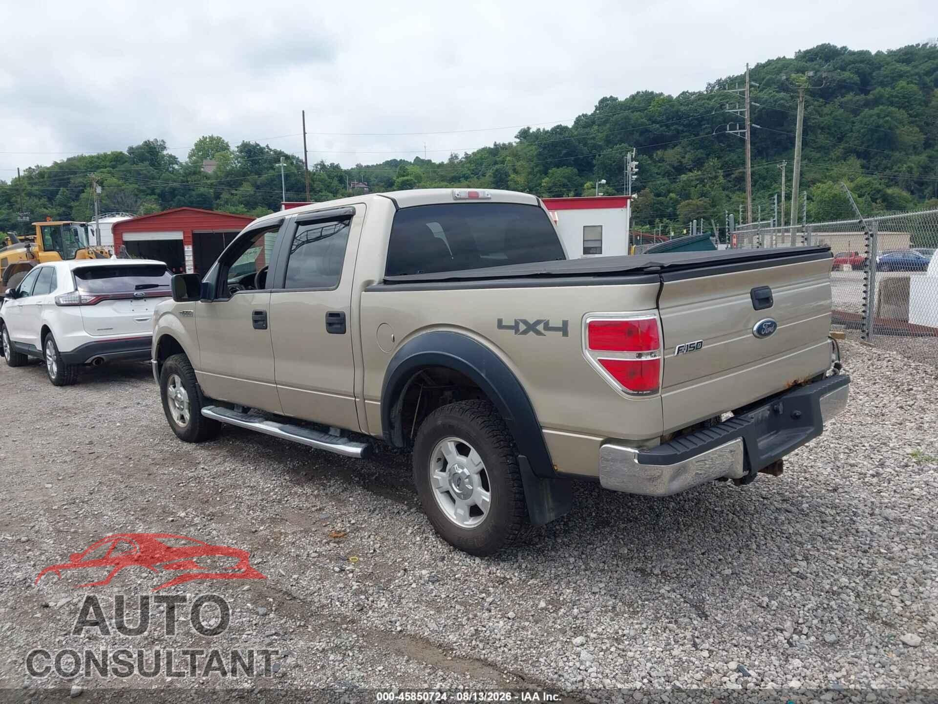 FORD F-150 2010 - 1FTEW1E85AFB84018