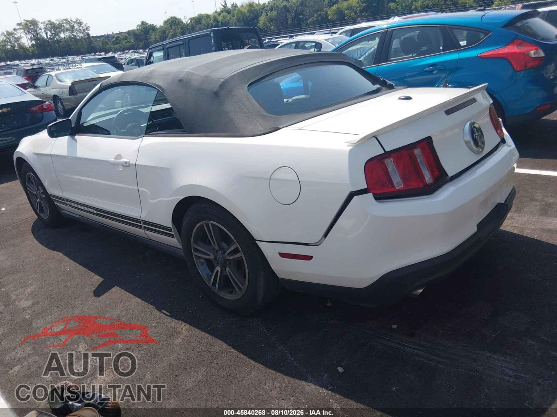 FORD MUSTANG 2011 - 1ZVBP8EM6B5119947