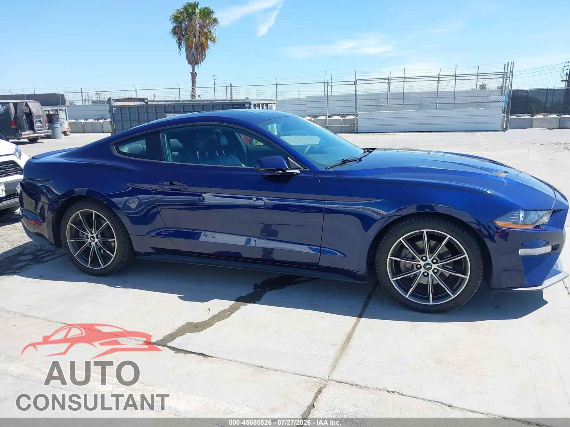 FORD MUSTANG 2019 - 1FA6P8TH3K5159581