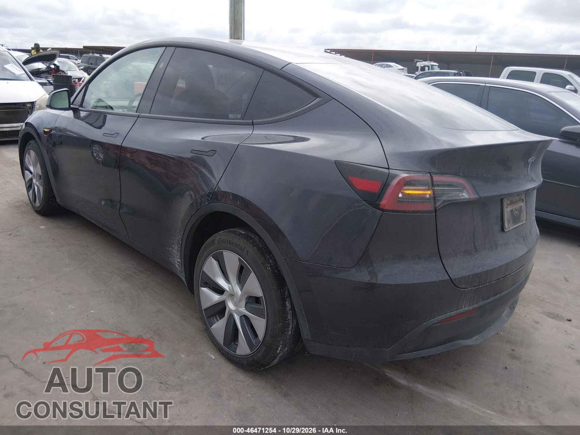 TESLA MODEL Y 2024 - 7SAYGAEE8RF074714
