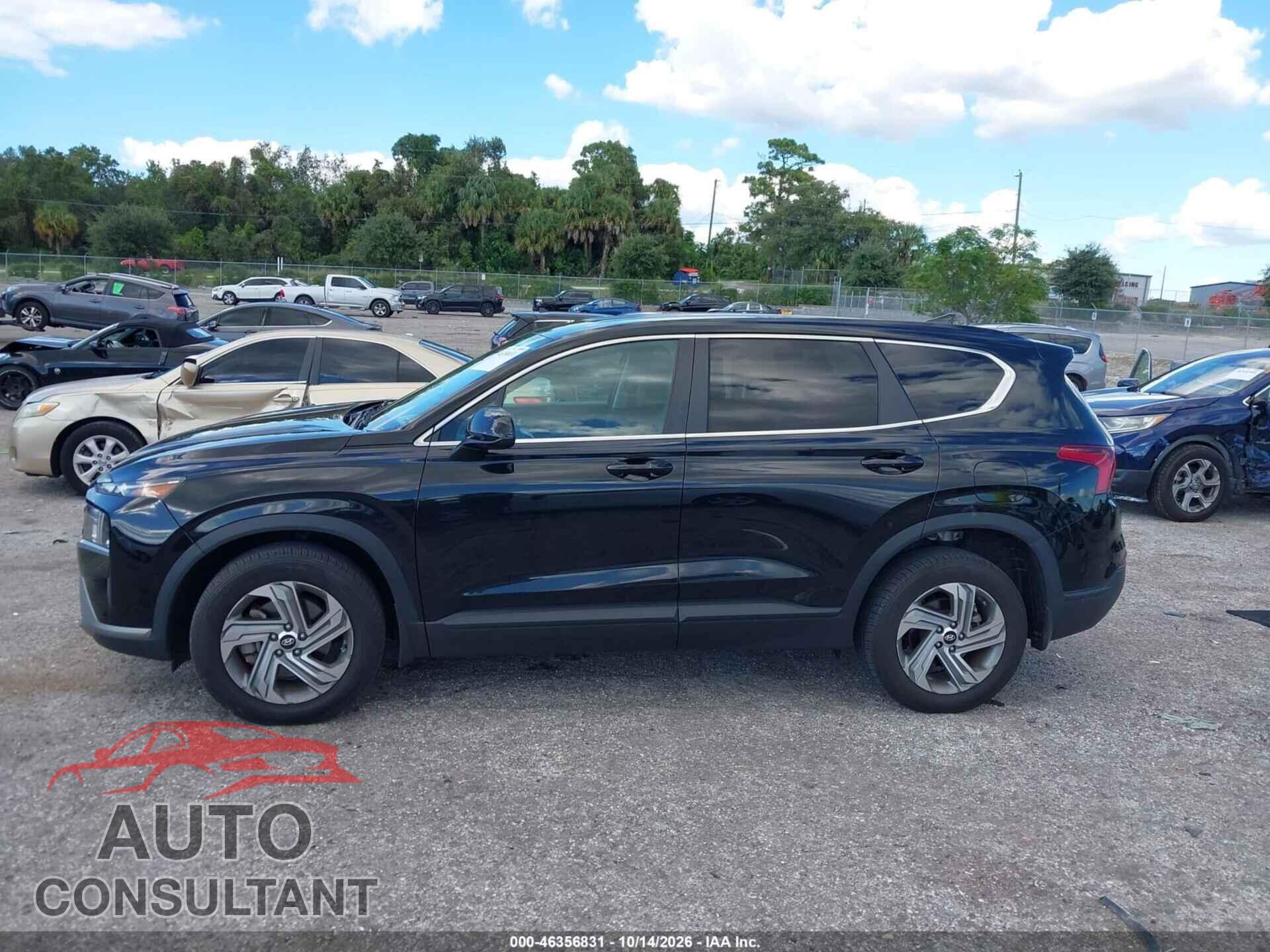 HYUNDAI SANTA FE 2023 - 5NMS14AJ3PH510499