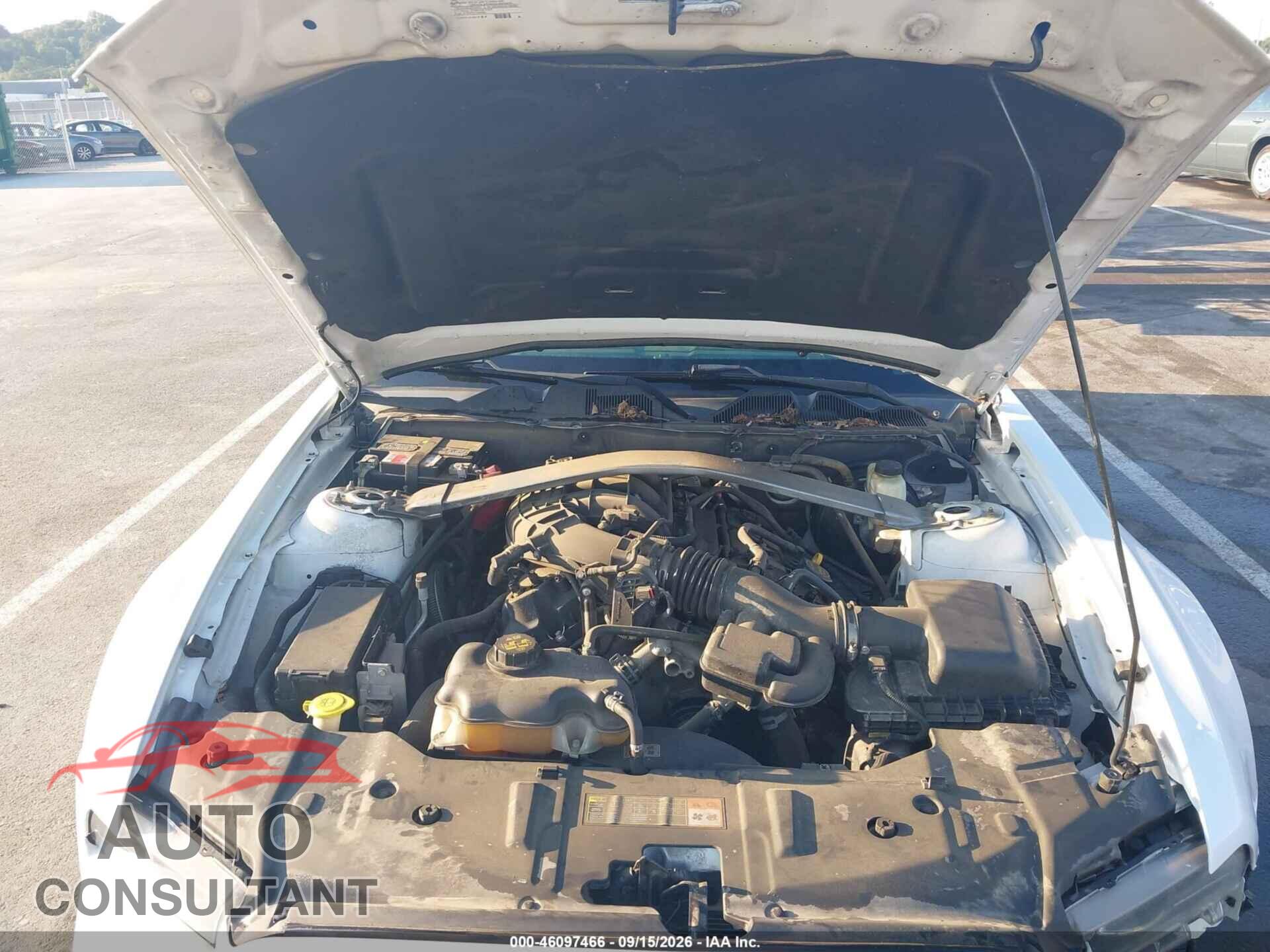 FORD MUSTANG 2014 - 1ZVBP8EM4E5295156