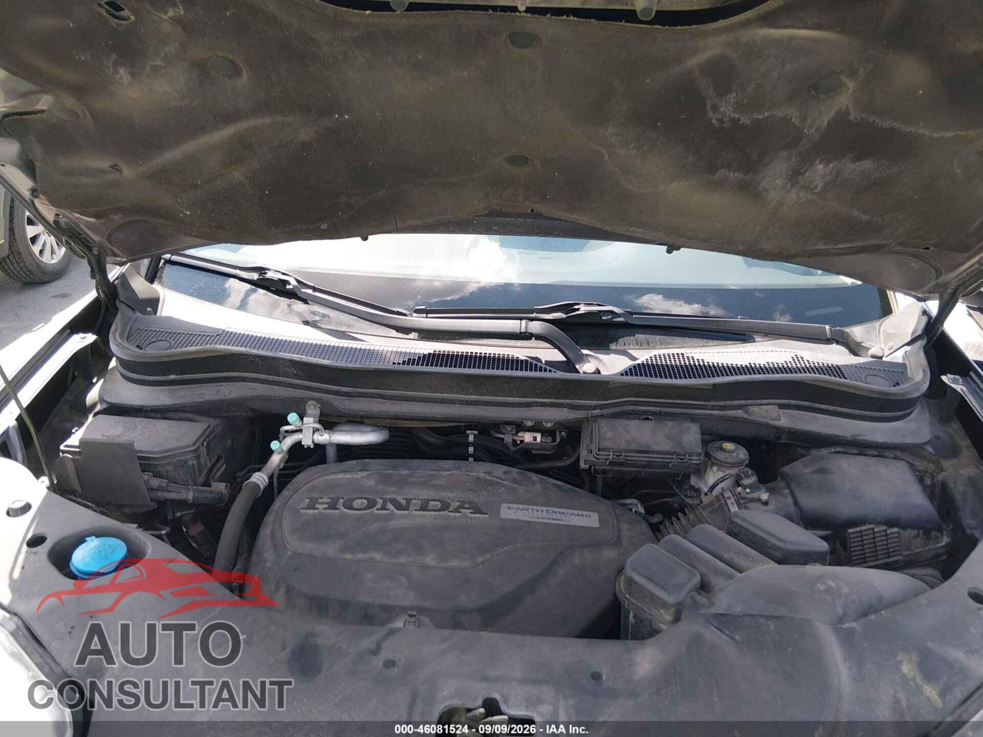 HONDA PILOT 2020 - 5FNYF5H52LB005964