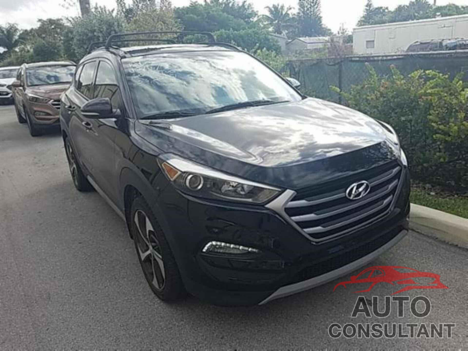 HYUNDAI TUCSON 2017 - KM8J33A24HU559757