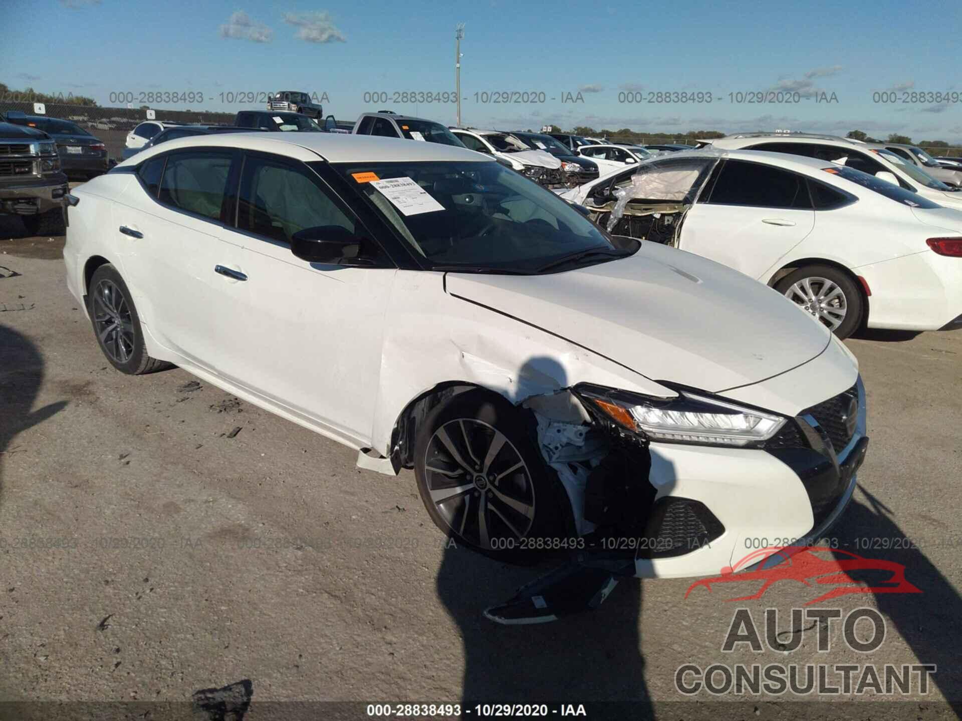 NISSAN MAXIMA 2019 - 1N4AA6AV4KC376206