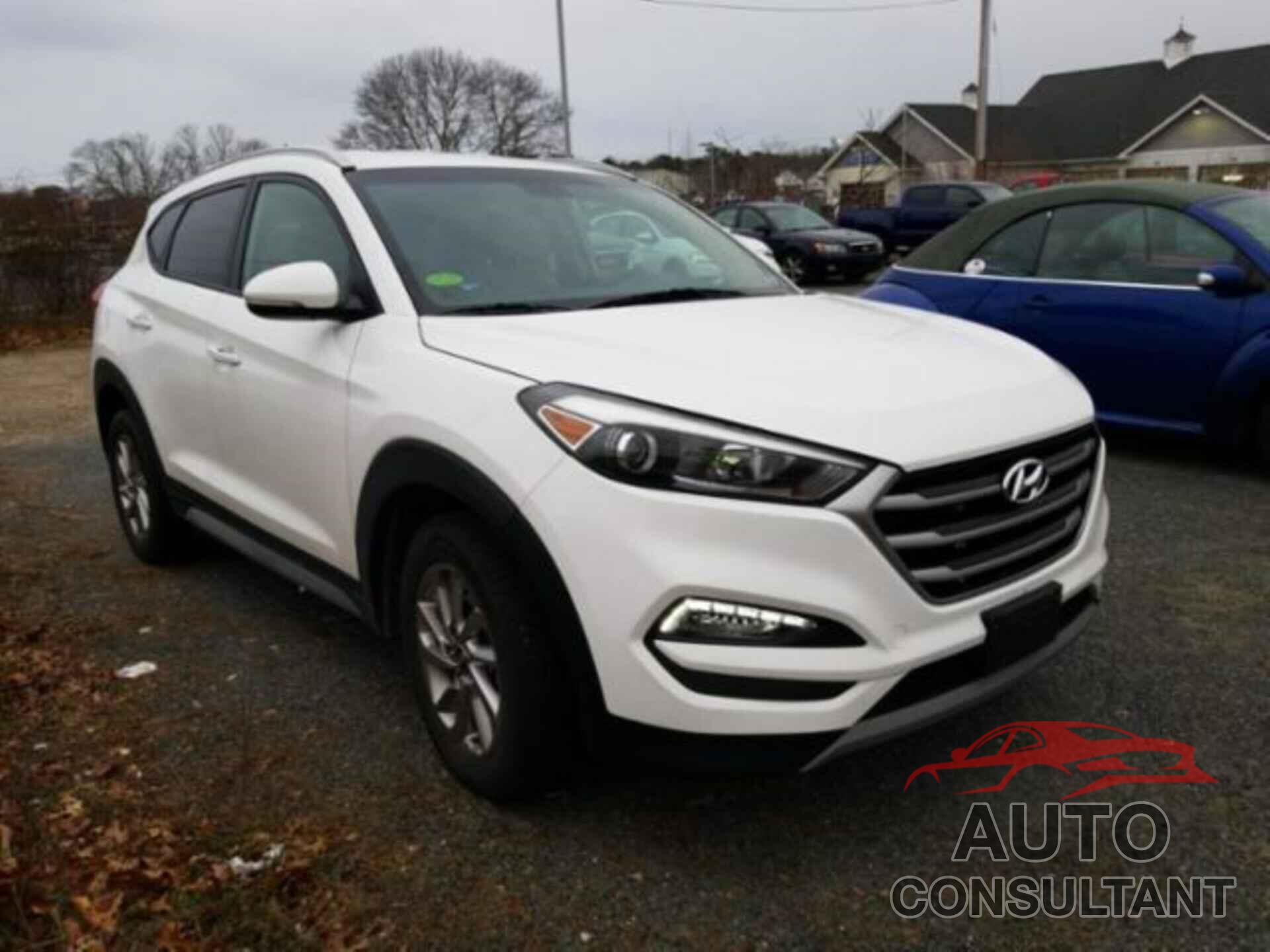HYUNDAI TUCSON 2017 - KM8J3CA25HU505903