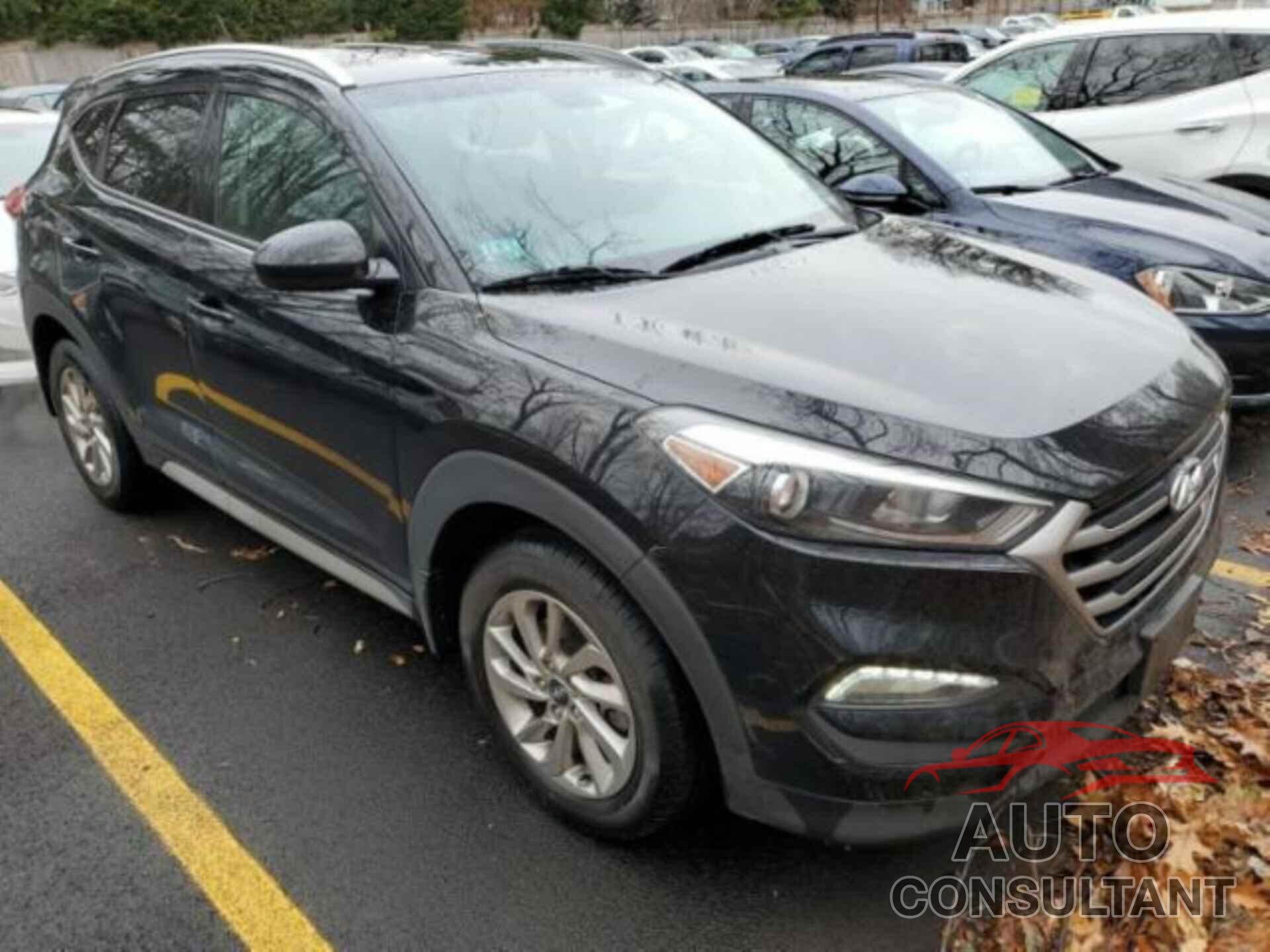 HYUNDAI TUCSON 2017 - KM8J3CA46HU524770