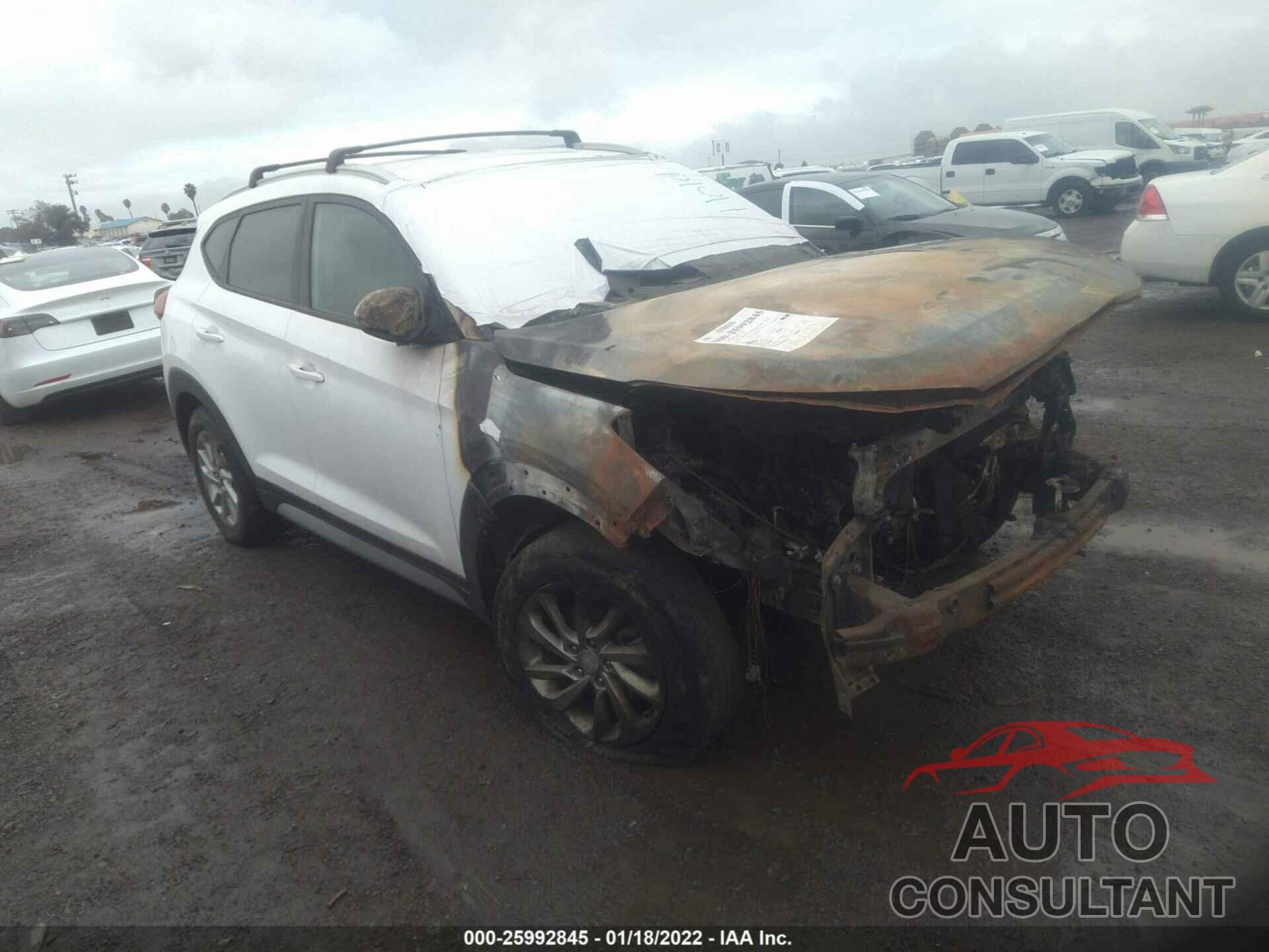 HYUNDAI TUCSON 2017 - KM8J33A44HU580657