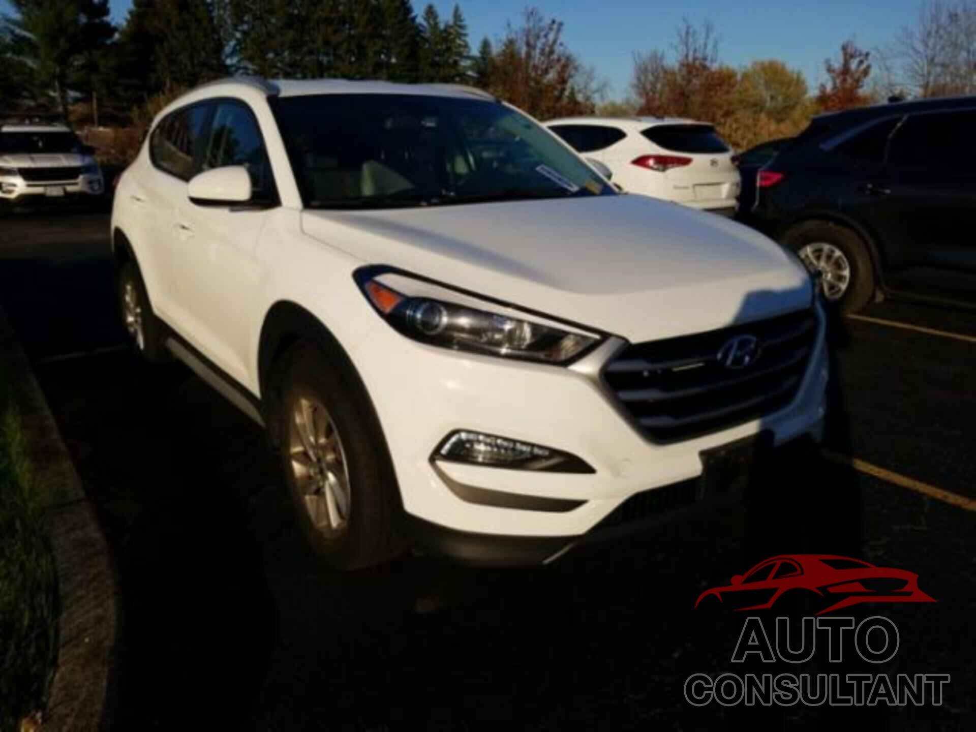 HYUNDAI TUCSON 2017 - KM8J3CA44HU511516