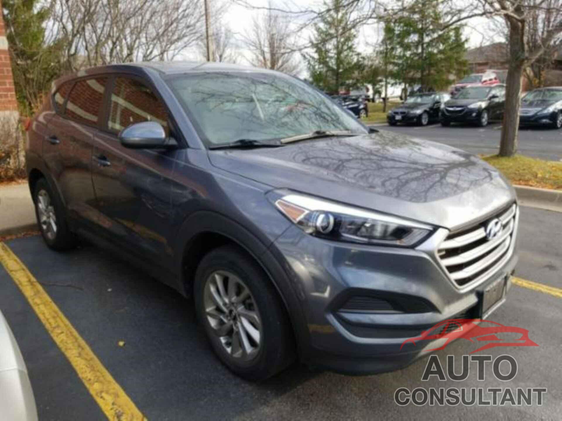 HYUNDAI TUCSON 2017 - KM8J23A40HU566015