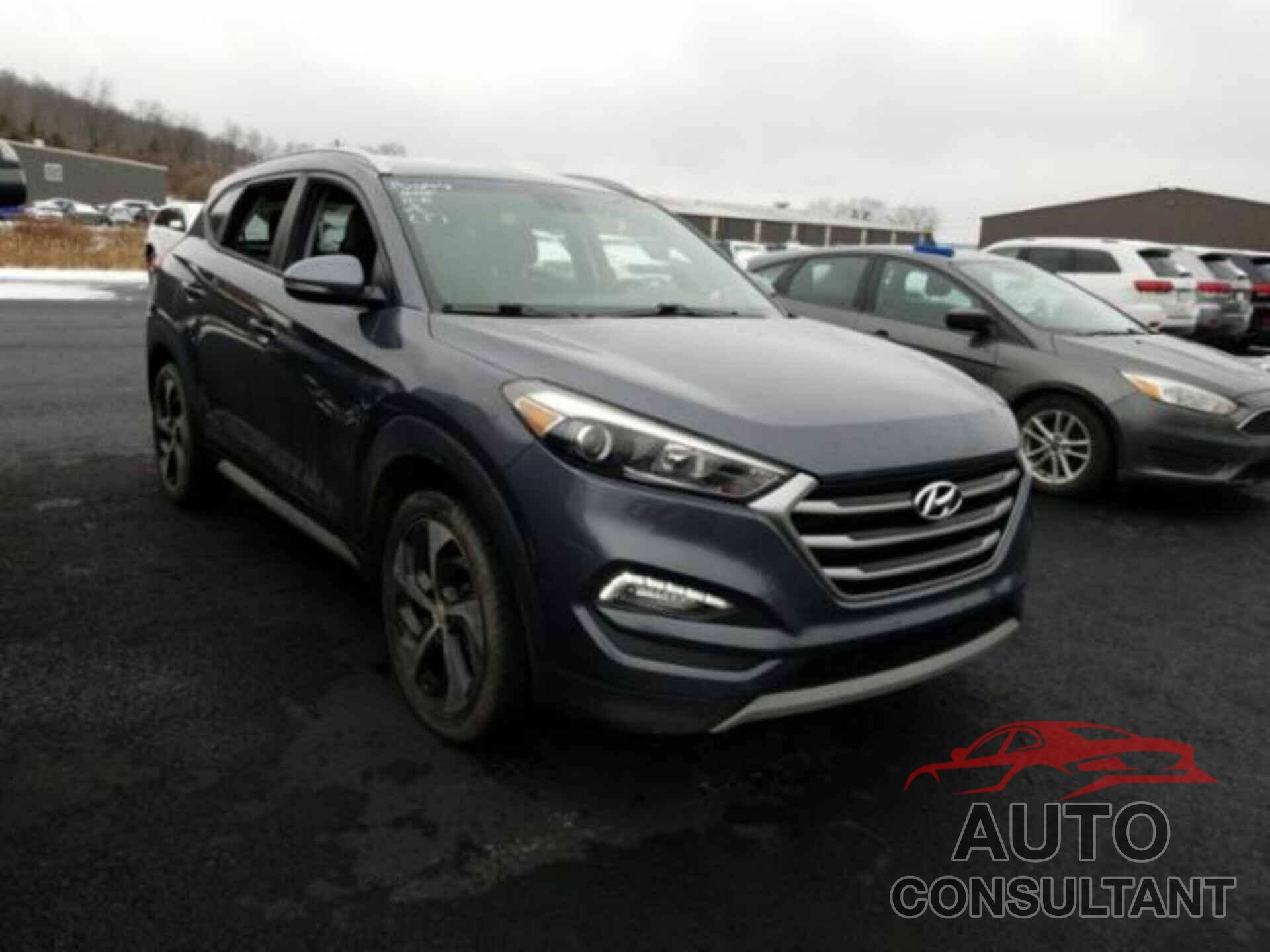 HYUNDAI TUCSON 2017 - KM8J3CA27HU495388