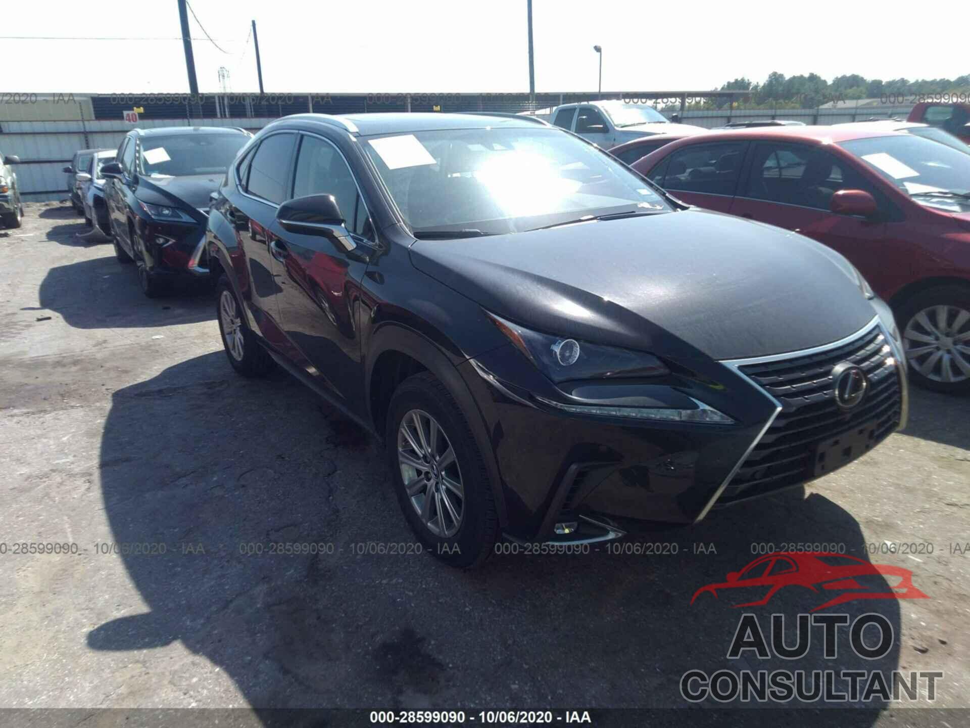 LEXUS NX 2019 - JTJYARBZ1K2120345