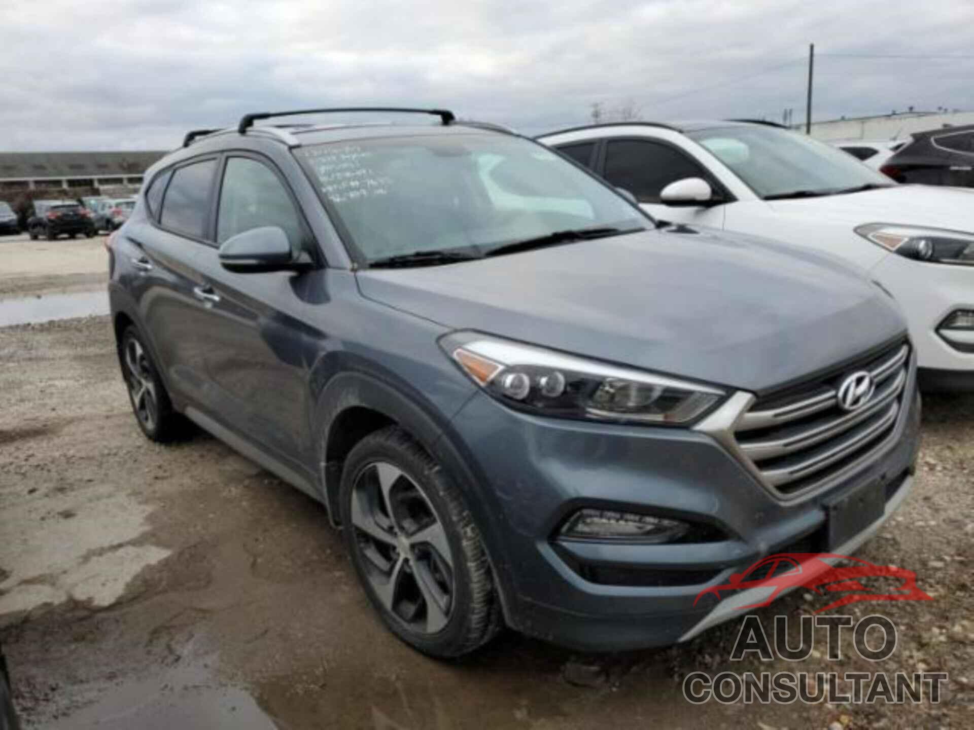 HYUNDAI TUCSON 2017 - KM8J3CA21HU346491