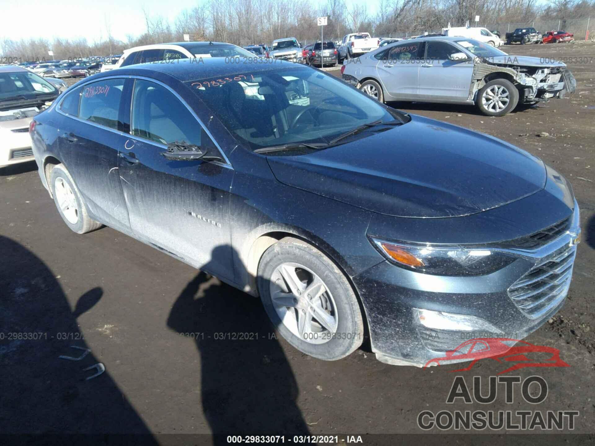 2019 MALIBU CHEVROLET