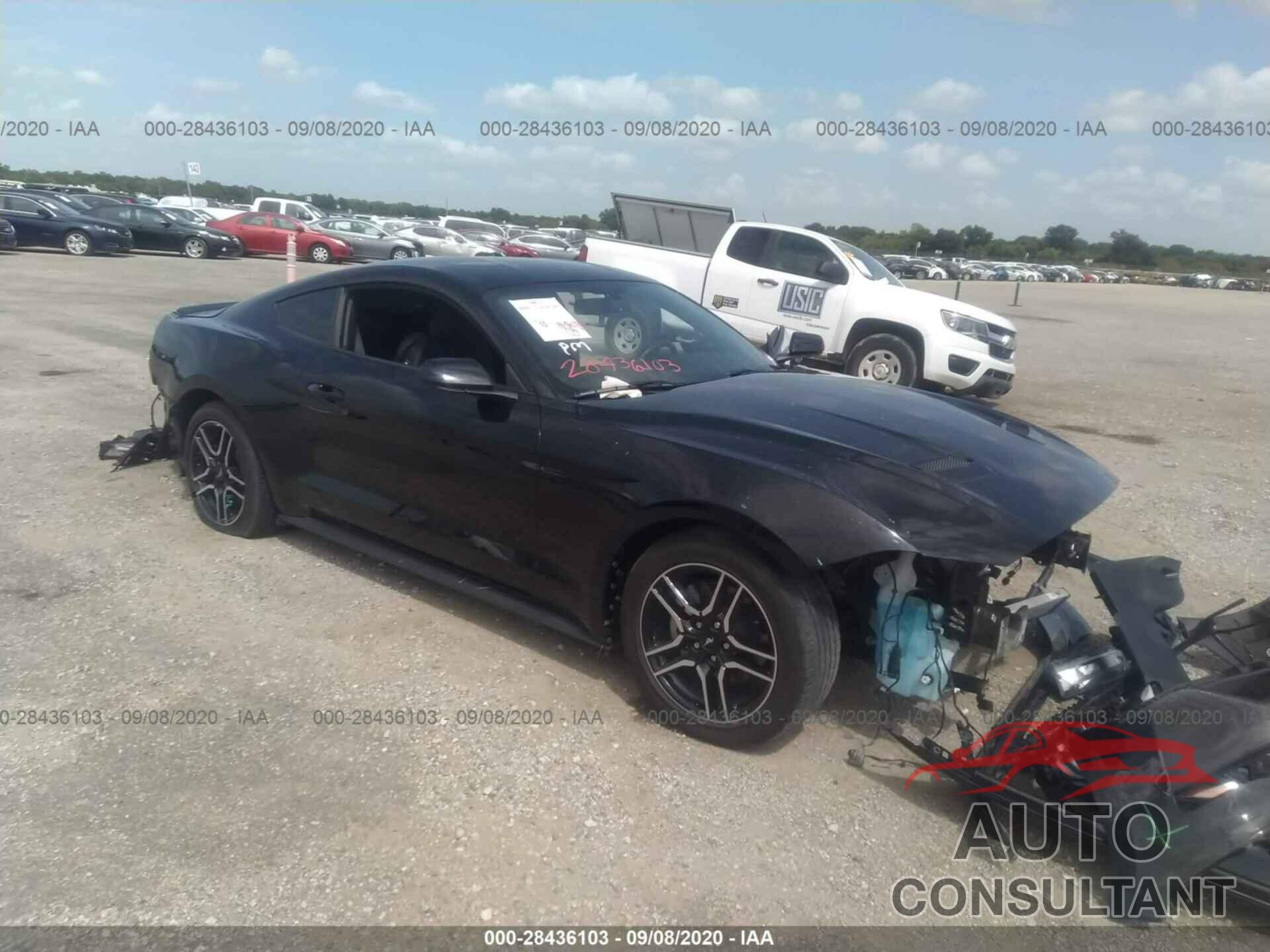 FORD MUSTANG 2019 - 1FA6P8TH7K5196150