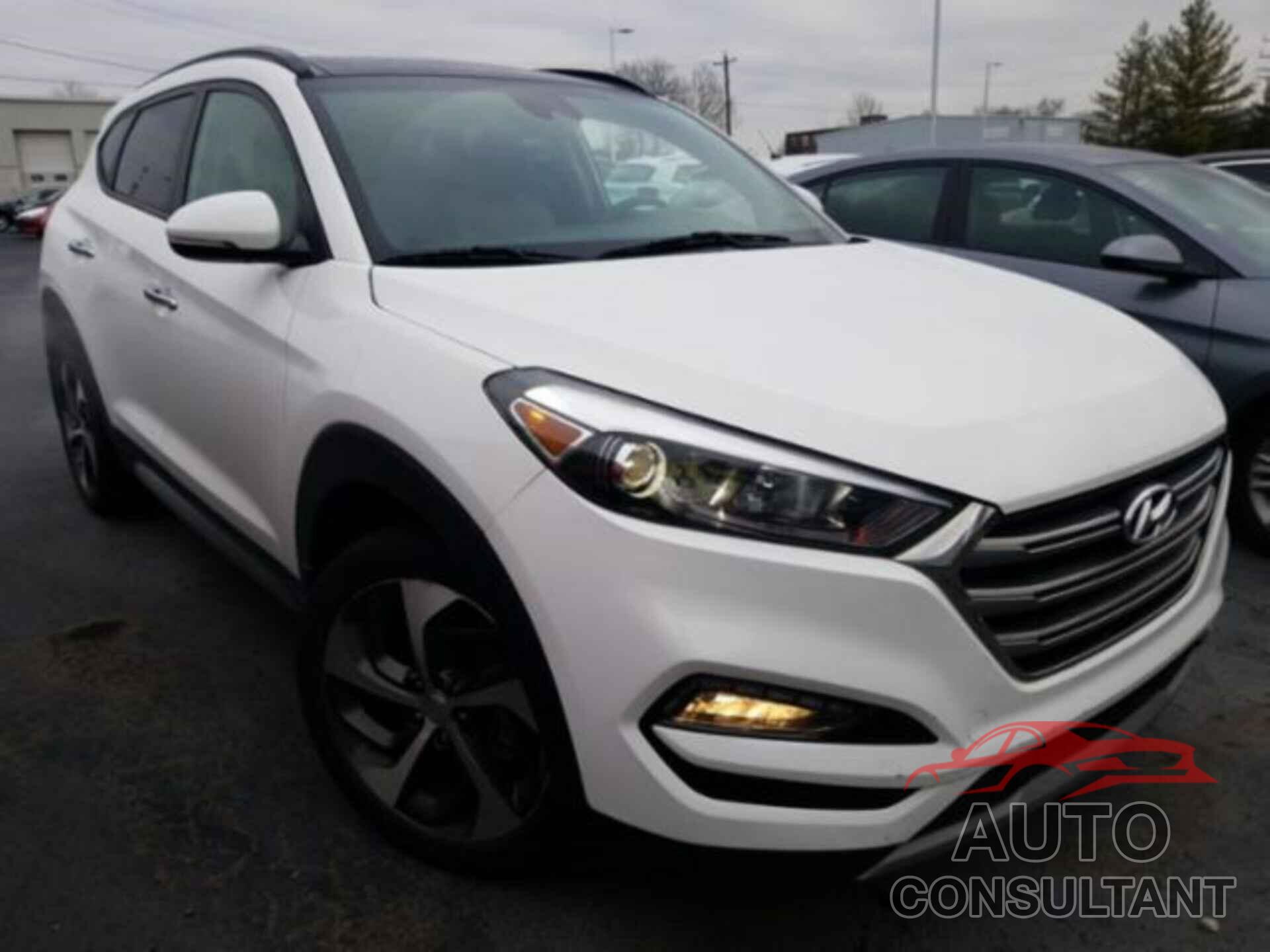 HYUNDAI TUCSON 2017 - KM8J33A25HU294654