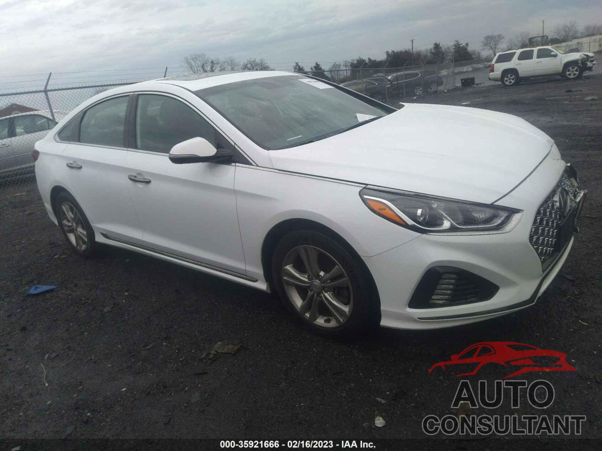 HYUNDAI SONATA 2019 - 5NPE34AFXKH808093