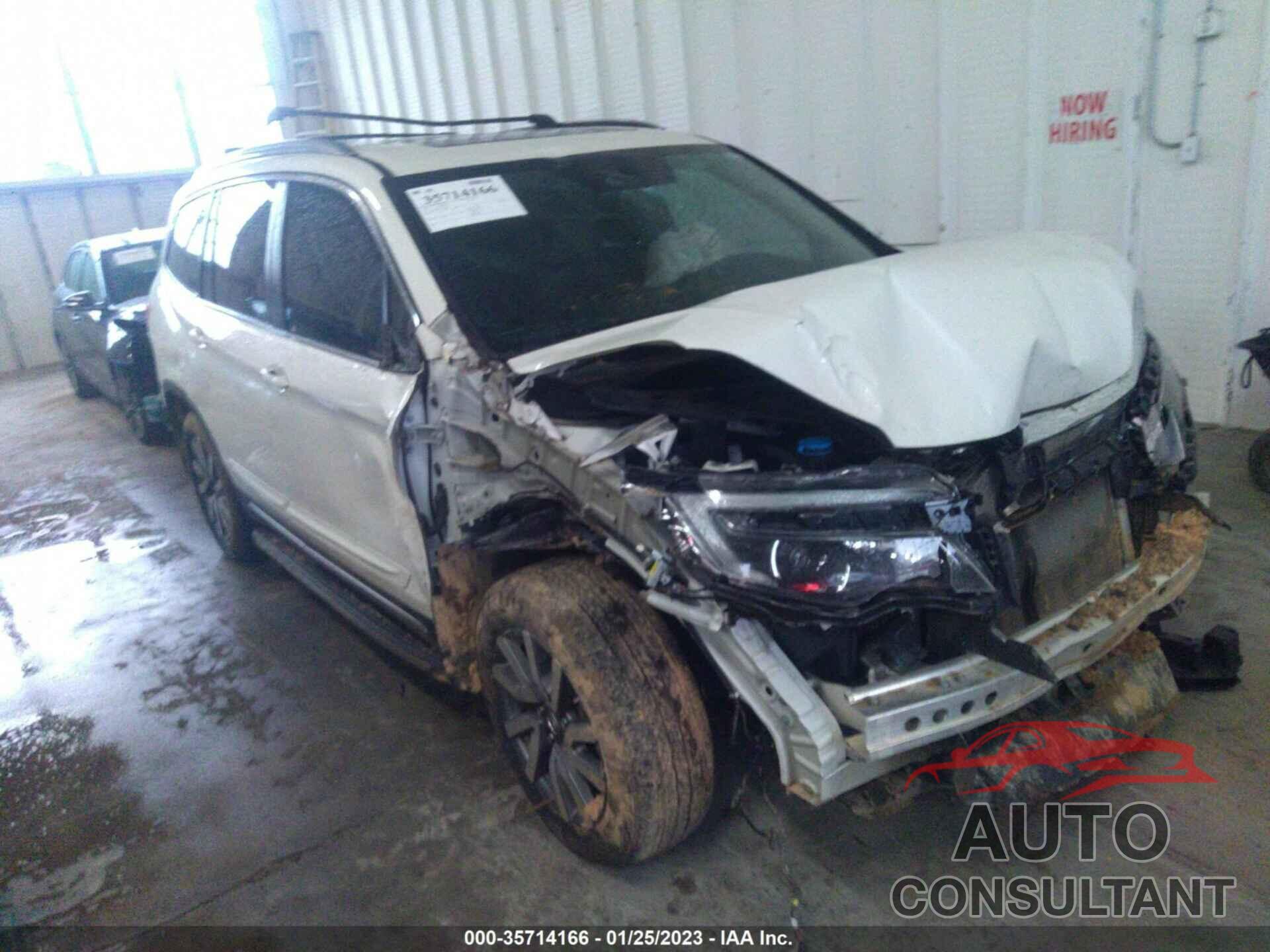 HONDA PILOT 2019 - 5FNYF5H51KB005503