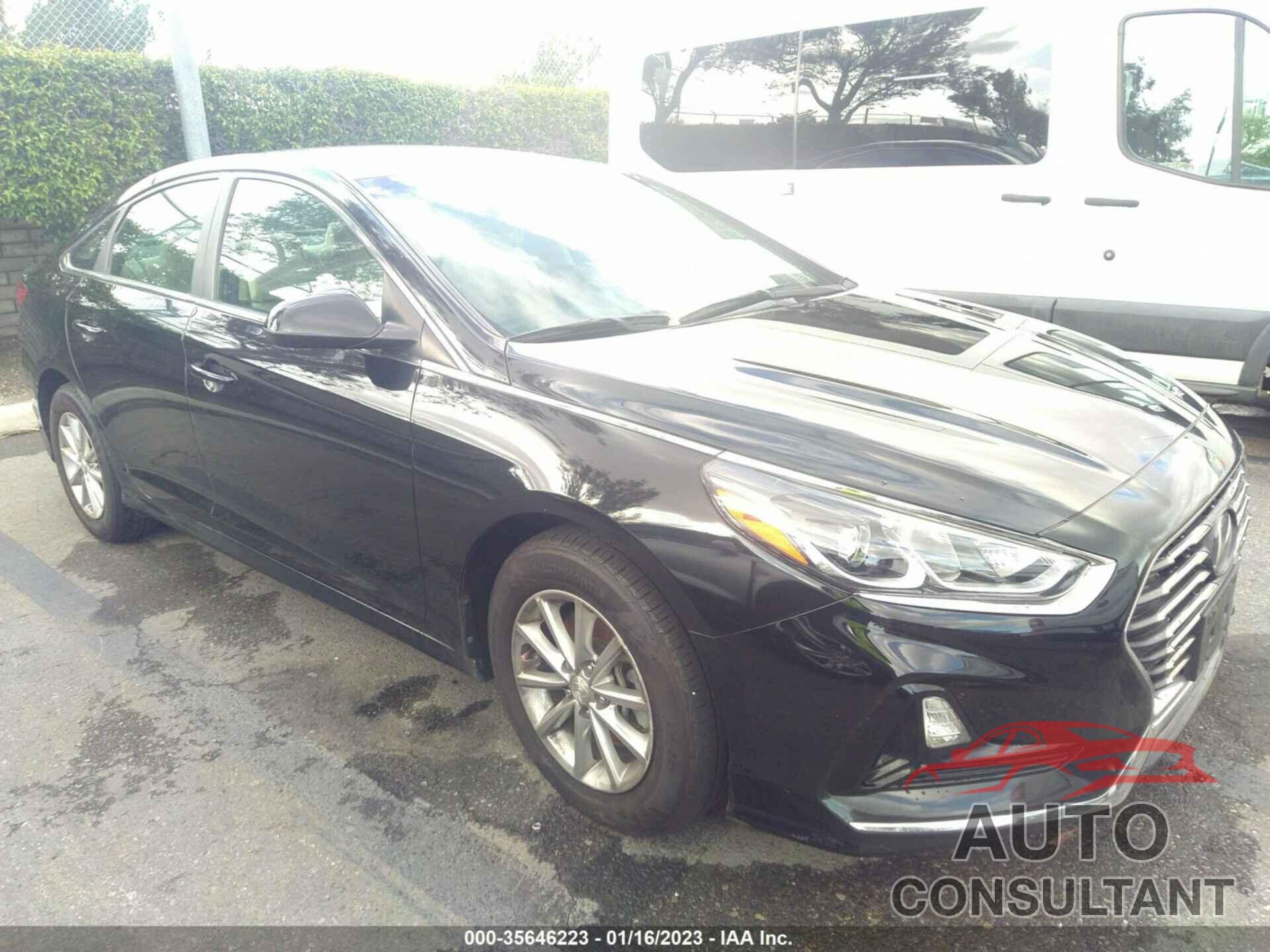 HYUNDAI SONATA 2019 - 5NPE24AF0KH810373