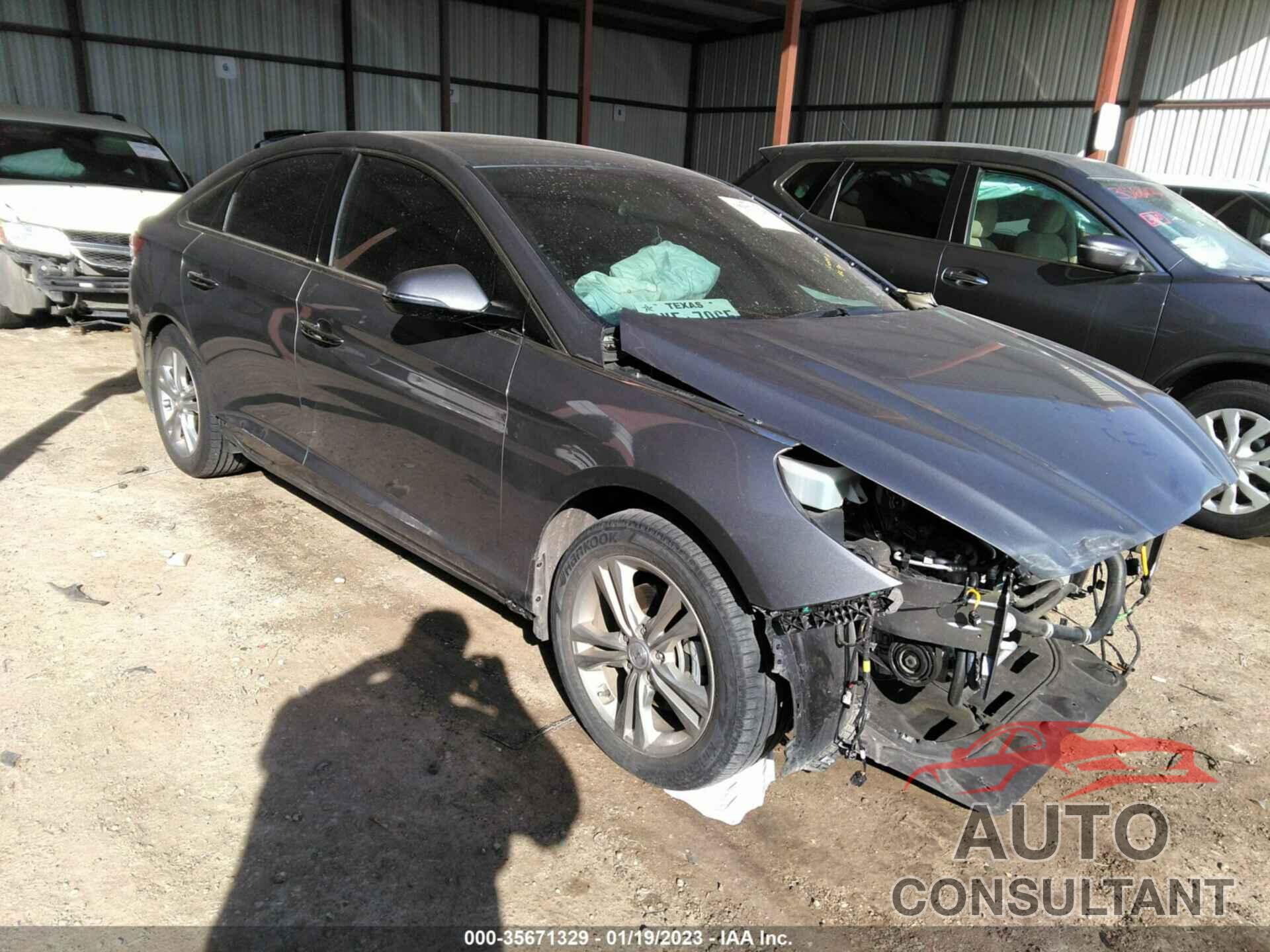HYUNDAI SONATA 2019 - 5NPE34AF3KH774577