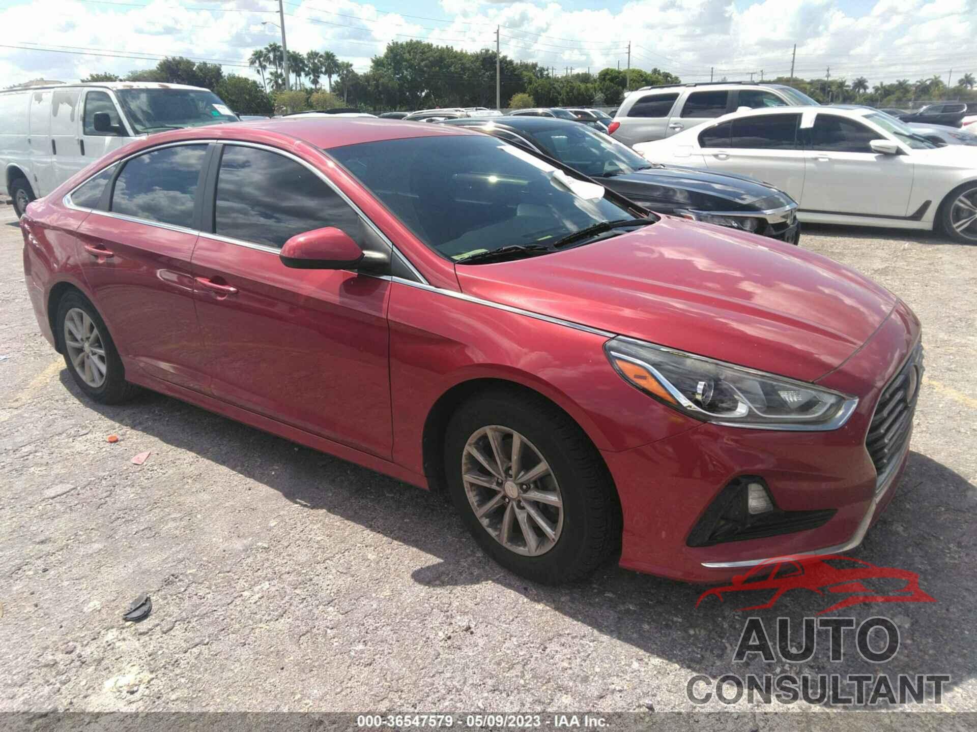 HYUNDAI SONATA 2019 - 5NPE24AF1KH736302