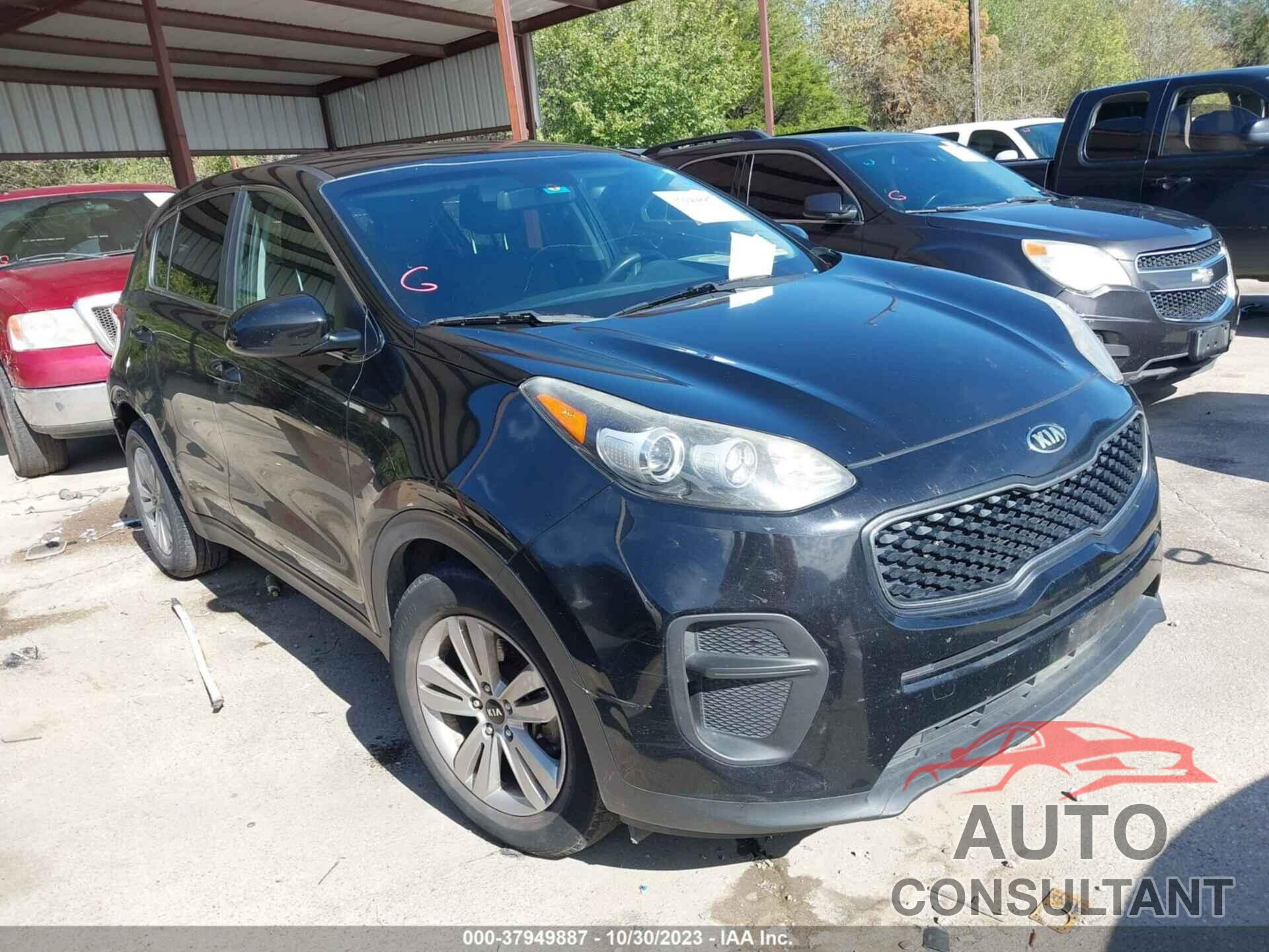 KIA SPORTAGE 2017 - KNDPM3AC3H7213265