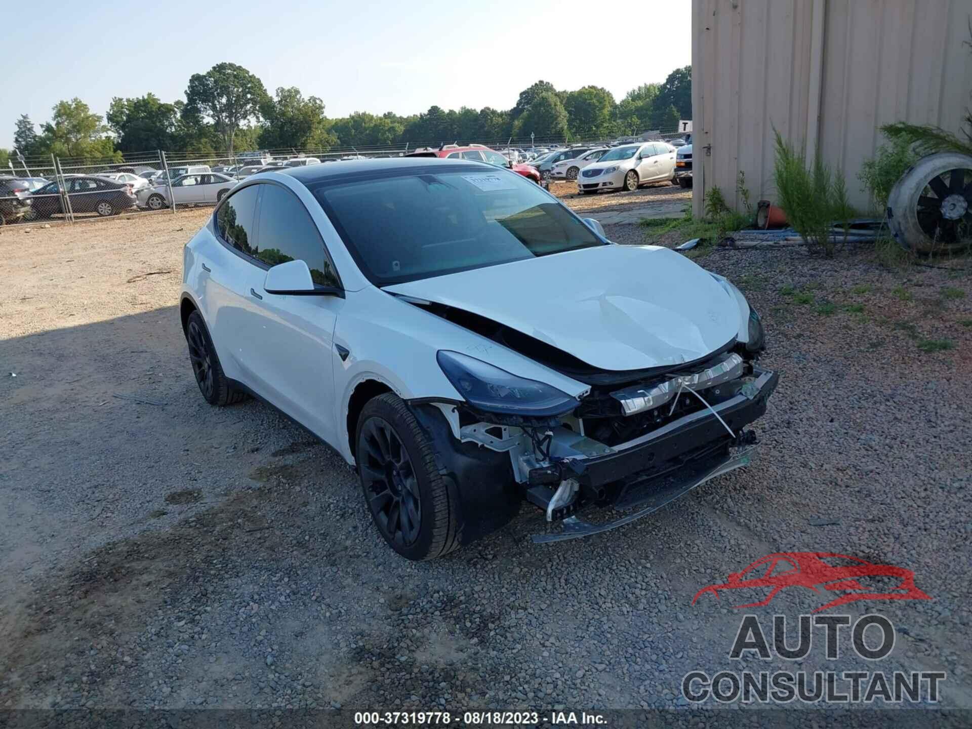 TESLA MODEL Y 2023 - 7SAYGDEE8PF693649