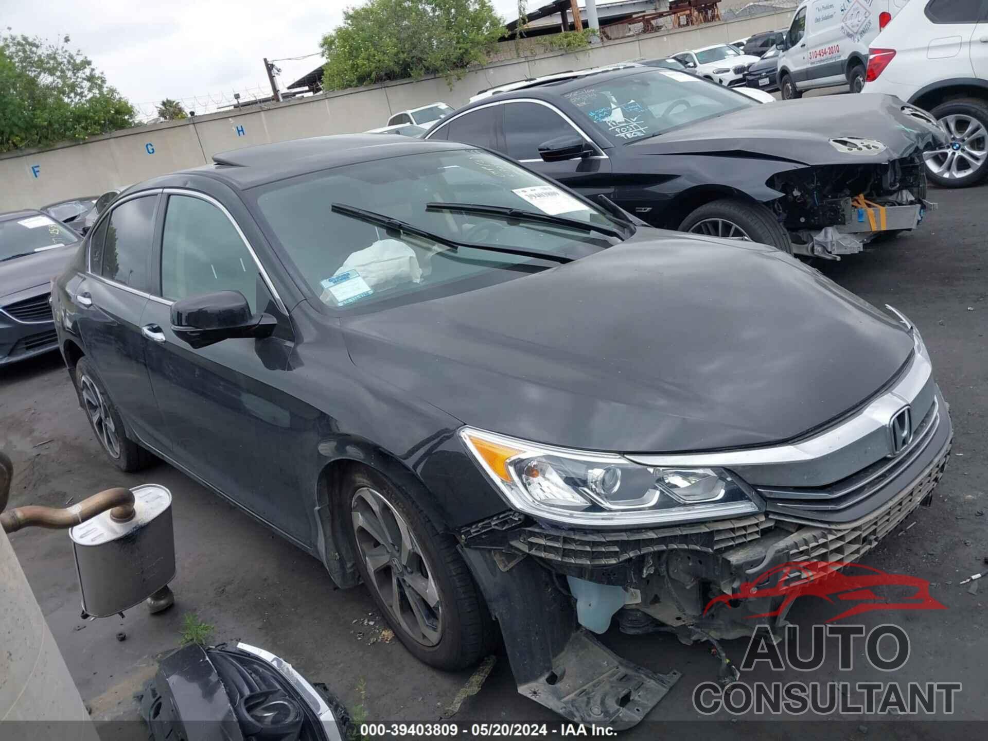 HONDA ACCORD 2016 - 1HGCR2F8XGA011265