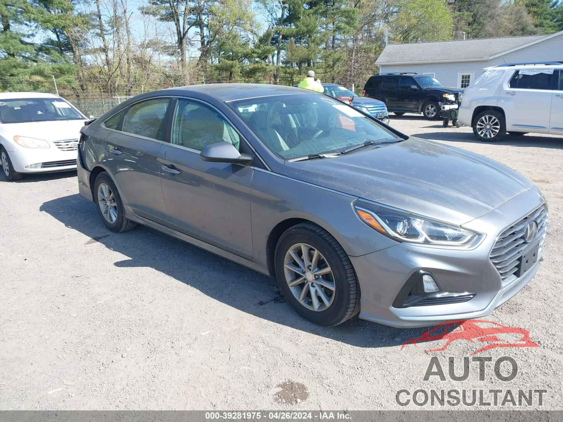 HYUNDAI SONATA 2019 - 5NPE24AF7KH748924