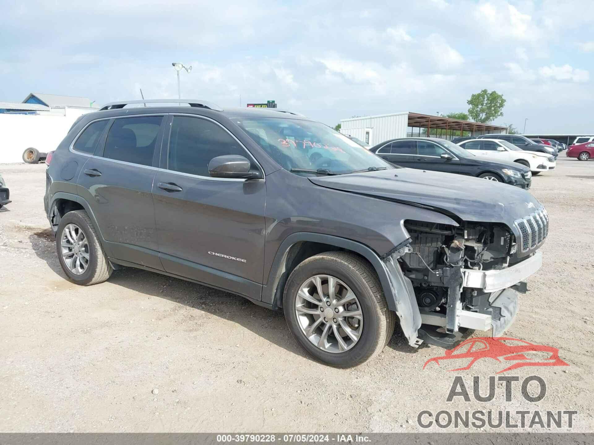 JEEP CHEROKEE 2019 - 1C4PJLLB1KD307750