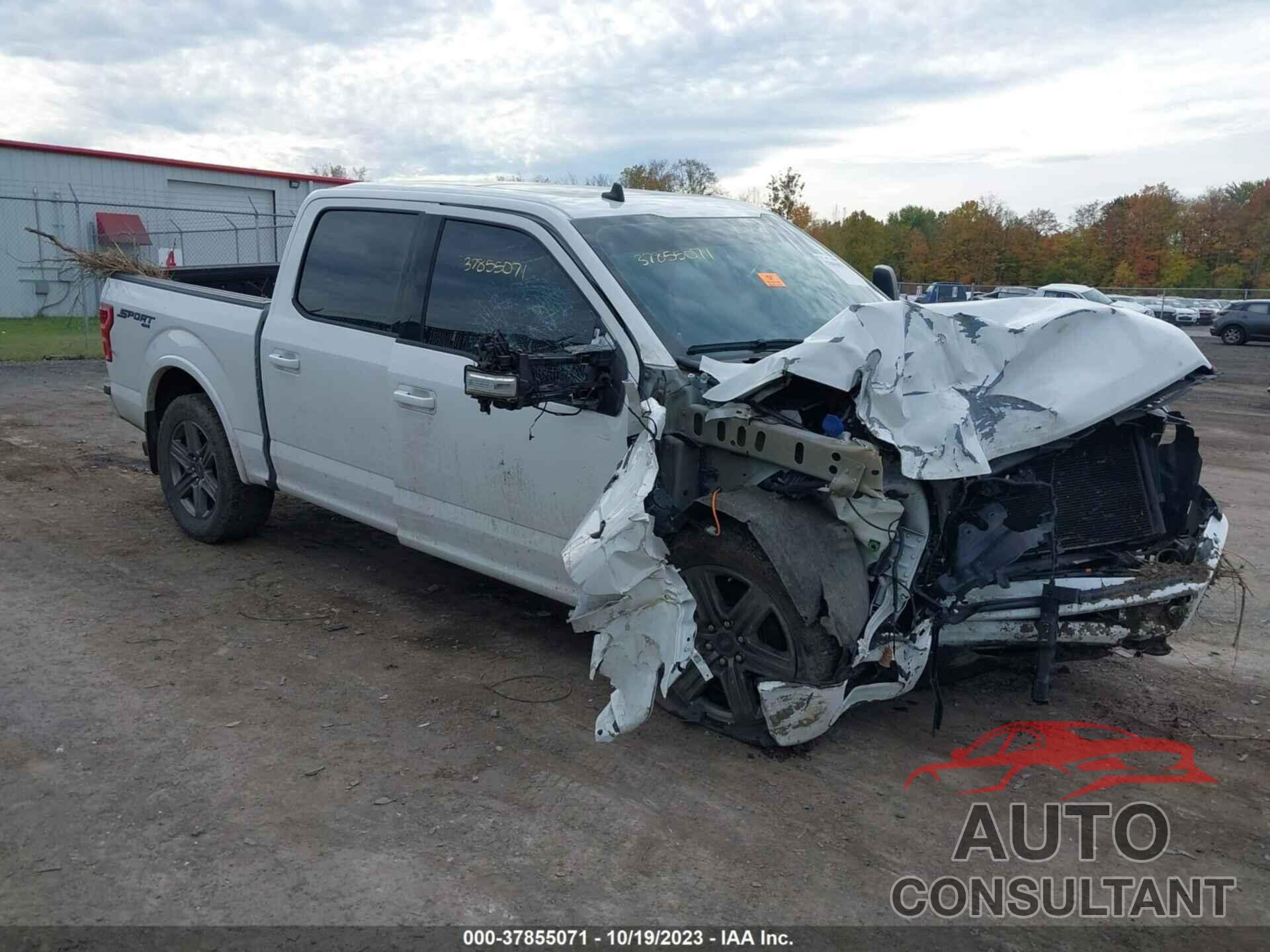 FORD F-150 2020 - 1FTEW1E4XLFC02299