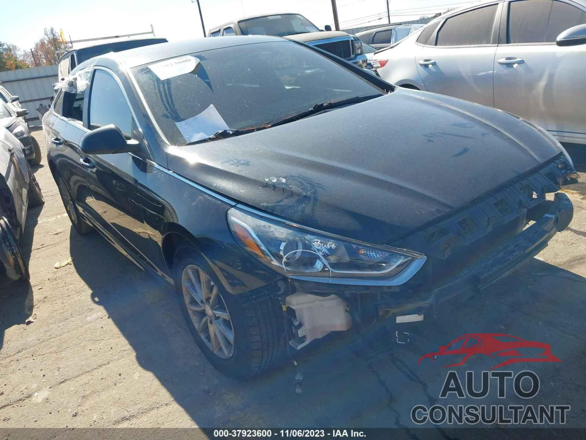 HYUNDAI SONATA 2019 - 5NPE24AF0KH733746