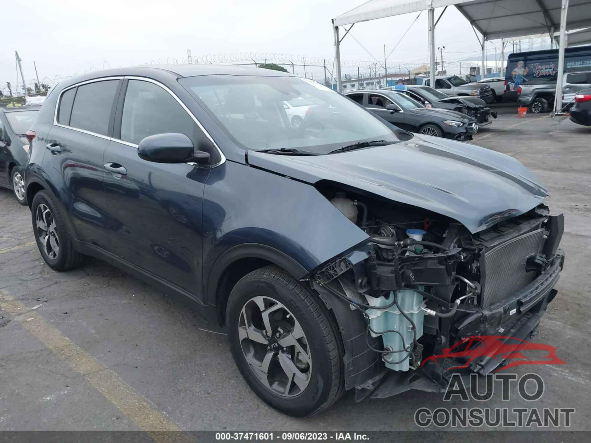 KIA SPORTAGE 2022 - KNDPM3AC8N7950604